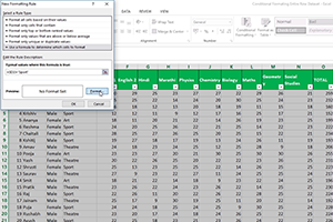 Module 1: Conditional Formatting using Formula and Function